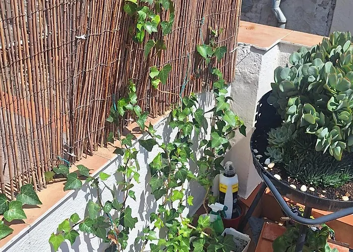 El Terrat De La Tecla - Duplex Casc Antic