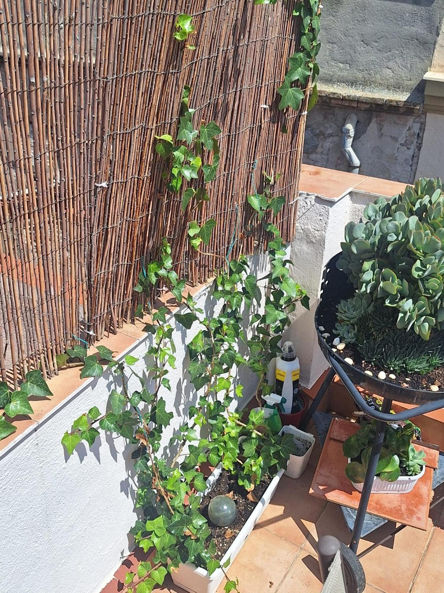 El Terrat De La Tecla - Duplex Casc Antic Apartament
